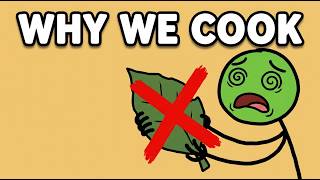 Why We Are The Only Species That Cooks