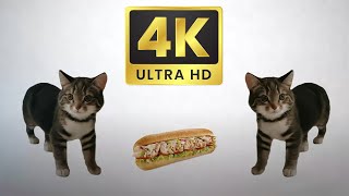 this is a sandwich. but it's 4K.