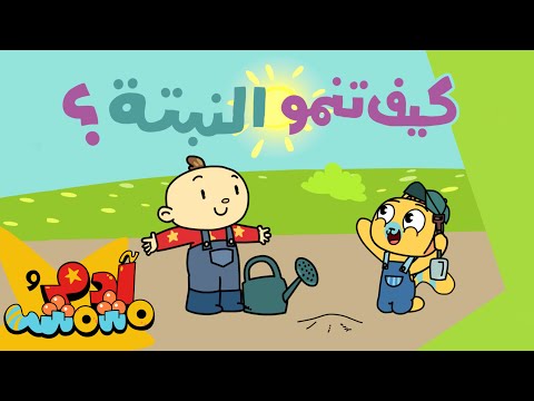           للأطفال آدم ومشمش مراحل نمو النبتة