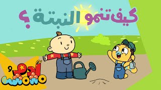 أغنية مراحل نمو النبتة للأطفال       آدم ومشمش - اسمعها
