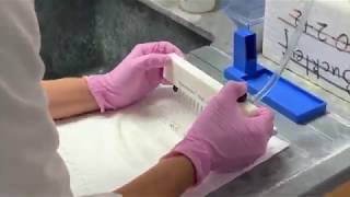 Lab 8 ELISA, Lab 7 Immunoblot
