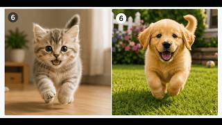 How to Join and Merge Multiple GIFs Together Online (Free & No Watermark)