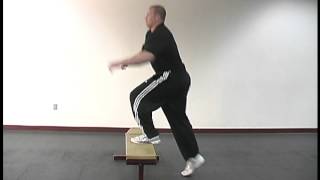 Power Step Up