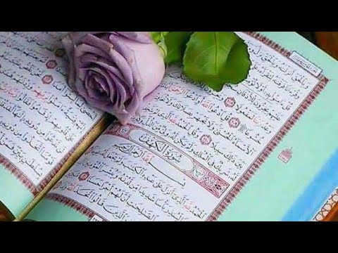 سورة الكهف كاملة هزاع البلوشى فنجان قهوة 