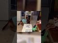 Овчарка СПАСЛА девочку от папы😂🔥🐕