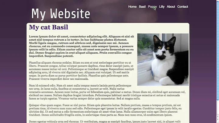 An introduction to indexed_search - TYPO3