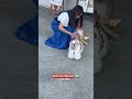 Японская косметика и витамины от пмс, для красивой кожи, плацента, коллаген #коллаген #япония