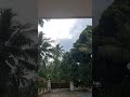 morning vibe#viral #youtubeshorts #mouzy vlogs#