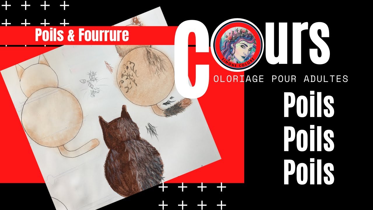 [Tutoriel] Effet POILS - FOURRURE ❣️ Coloriage pour adultes ❣️