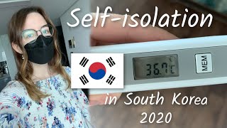 Самоизоляция в Южной Корее 2020. Что я привезла своим корейским родственникам из Украины (ENG SUBS)
