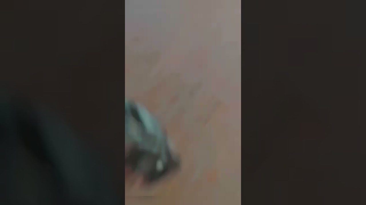 This mini vlog is about my birthday,  surprise given by friends 