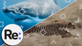 This is biomimicry