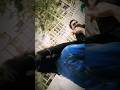 Beat two perverts #stevenlamofficial #shortvideo #kindness #action #help #respect #cool