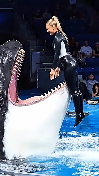 Jessica Radcliffe performs in the mouth of an orca #shark #orca #jessica #jessicaradcliffe #dolphin