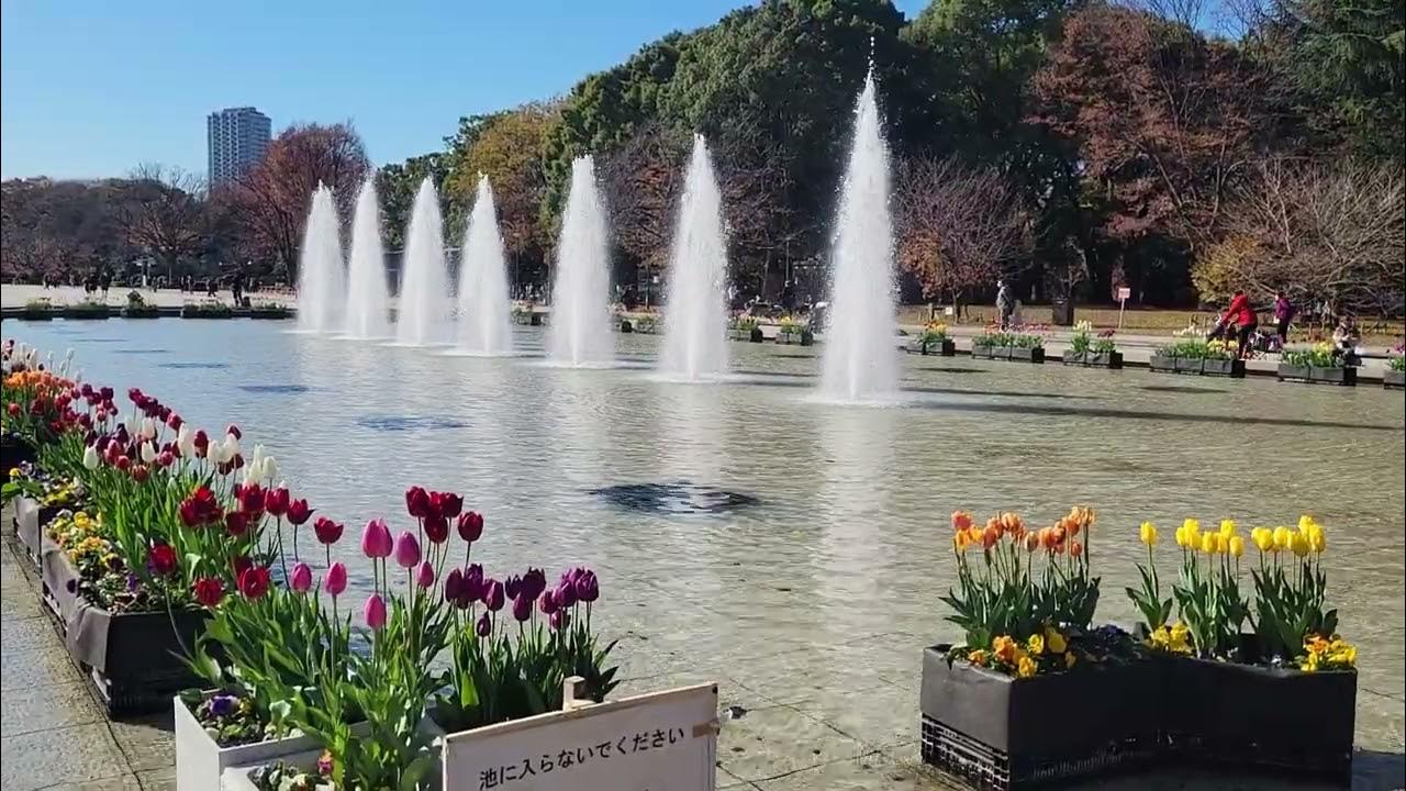 Tokyo National Museum Waterworks Japan ANA RTW 2022 YouTube tokyo-national-museum-waterworks-japan-ana-rtw-2022-youtube