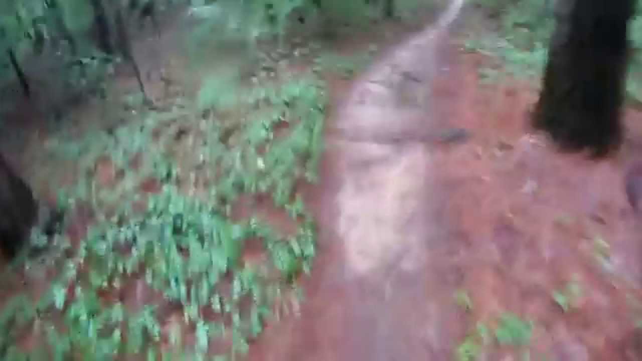 Forge Racing Hell's Hills 5k Trail Race