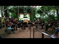 Phipps Concert- Appalachian Concerto