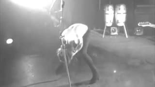 Bauhaus / Hair of the dog