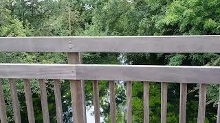 Margarets Bridge In Bray, Berkshire