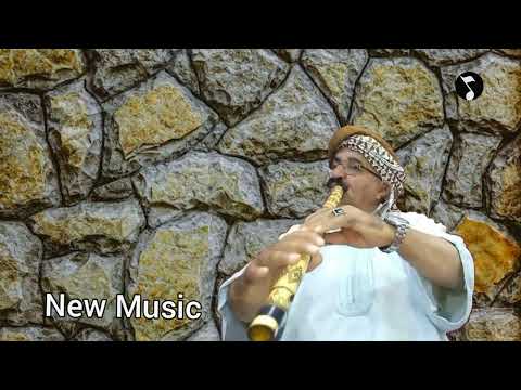 قصبة لايف الشيخ عثمان اغنية رائعة الركادة