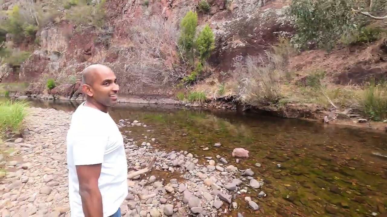 Wild Cherry Tree Campsite Licola 3