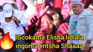 IGcokama Elisha ligile iZimanga lidlala ingoma entsha shaaaa 🔥🔥 ngihlanya abalandeli zizwele nayi