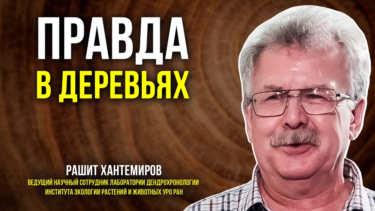Ямал - эльдорадо для дендрохронологов. Что могут рассказать кольца ...