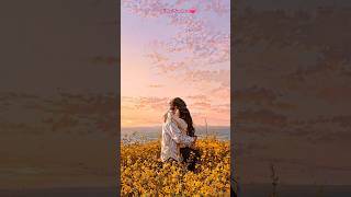 Download Lagu Dil hai tumhara ❤️🌹 #shorts #hindisong #alkayagnik #ytshorts #trending MP3 Download Lagu Dil hai tumhara ❤️🌹 #shorts #hindisong #alkayagnik #ytshorts #trending MP3
