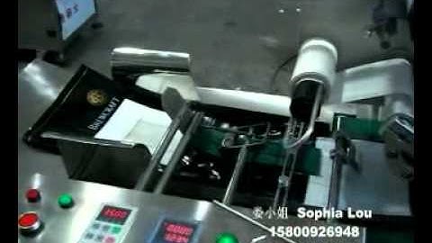 Automatic bag pouch pagination labeling machine