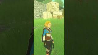 #pointcrow on #Twitch | UNPLAYABLE HYRULE AGE OF IMPISONMENT