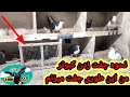 نحوه جفت زدن کبوتر نر و ماده من این طوری کبوترا رو جفت میزنم 