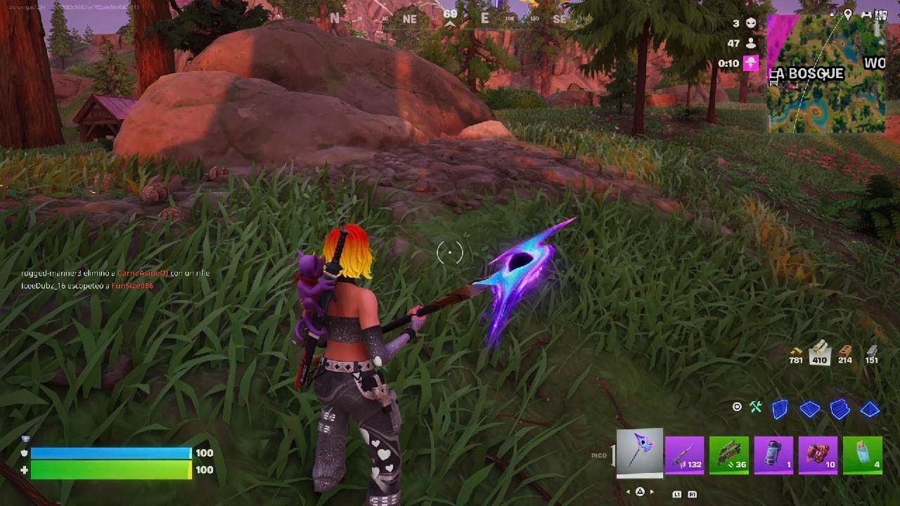 Fortnite_clasificatoria solo victoria