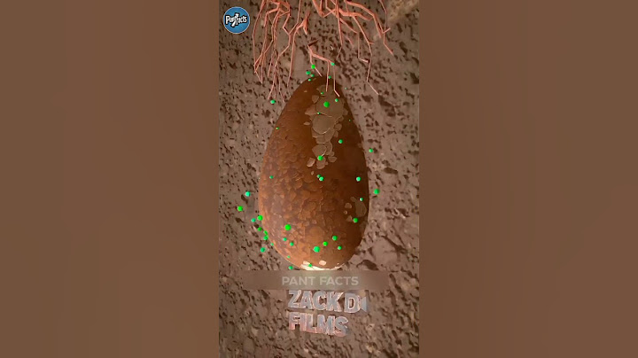 How tree pod burial work 🌳🌴#facts #shorts