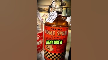 💥👖 "The Exploding Pants Epidemic of New Zealand"