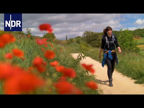 Video: Pilgerwege zu Fuß von Frankreich nach Spanien