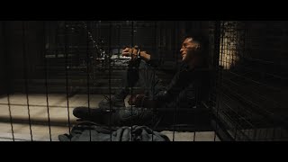 Celebrity The Punisher Escapes | Daredevil: Born Again | After Credits Scene Net Worth