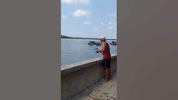 Câu cá ở sông lòng tàu Cần Giờ