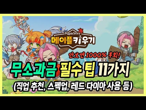 【메이플 키우기】 직업 추천부터 "초반 꿀팁 총정리" 꼭 보세요!  (전직&동료, 서버 변경, 레드 다이아 사용처 등)
