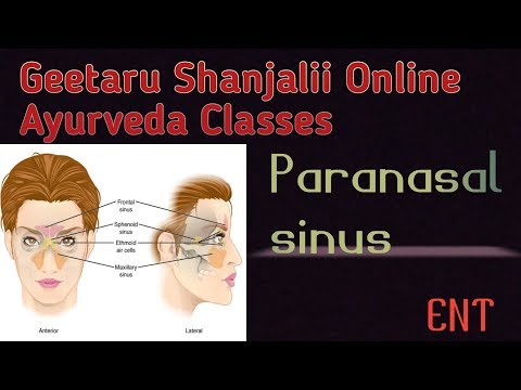 Paranasal sinus introduction by Geetaru Shanjalii BAMS AYURVEDA