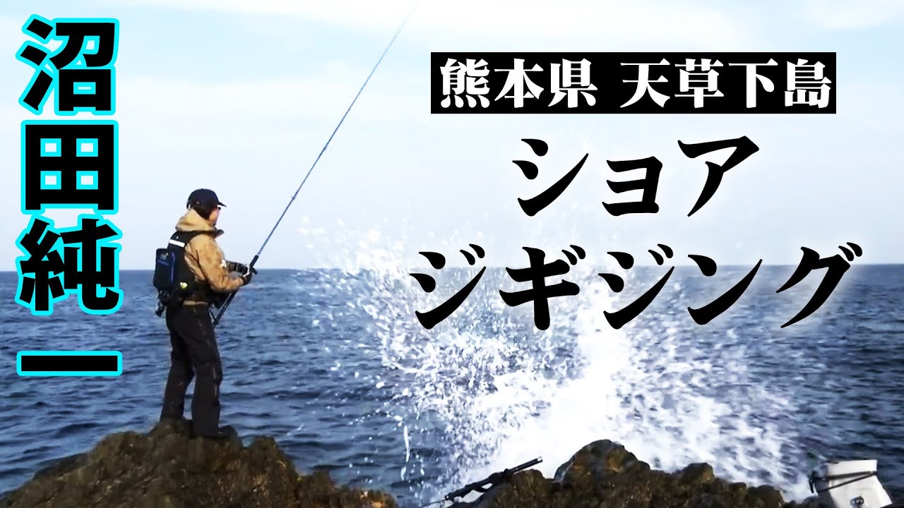 Shore fishing targeting yellowtail and amberjack off Amakusa