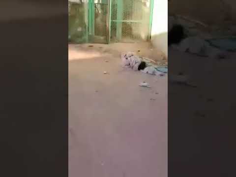 سوق ام دفسو الكبدة ال١٦ اكسبلور