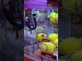 One Shot, One Doll! Lucky Claw Machine Win?
