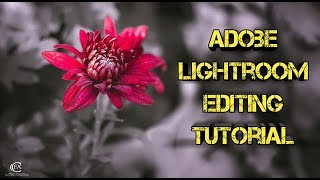 How to Edit a Raw   Color Splash Editing in Adobe Lightroom 2018 screenshot 2