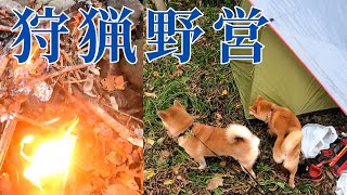 狩猟野営が始まります。ヒグマの徘徊する森で柴犬２頭と