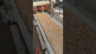 Do you need all kinds of belts for the OSBproduction line #osb #machine #particleboard