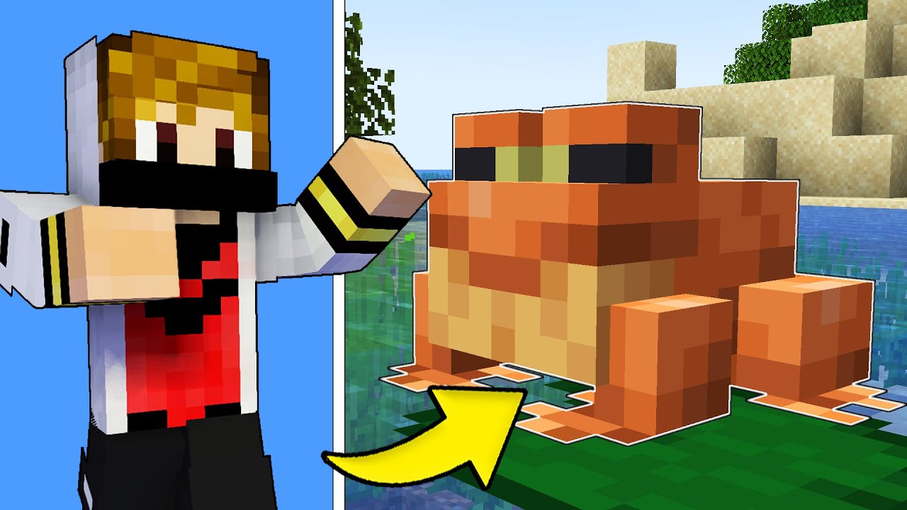 HO TROVATO LE RANE NEL MIO MONDO DI MINECRAFT! - YouTube