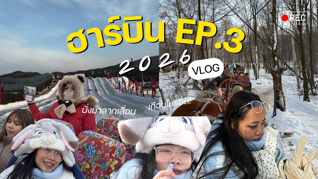 นั่งม้าลากเลื่อนจะรอดไหม? ออกนอกเมืองก่อนถึงหมู่บ้านหิมะ | Harbin EP.3 🇨🇳