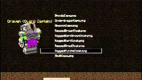 Custom Npcs: Part 1 Introduction to NPC CITY