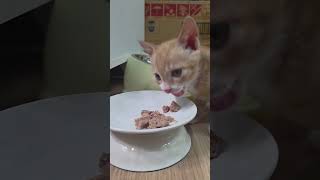 54일째 감자 인사드려요 아 그리고 한주 잘 보내세요