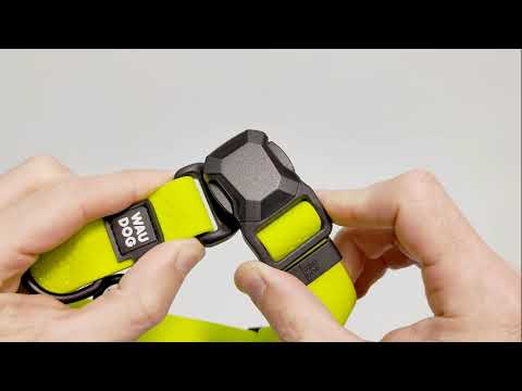 Нашийник для собак водостійкий WAUDOG Magnet, магнітна пряжка-фастекс, S, Ш 15 мм, Д 26-35 см, лимонний, видео 1